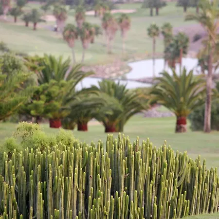 Vista Golf 22 By Villagrancanaria Villa *